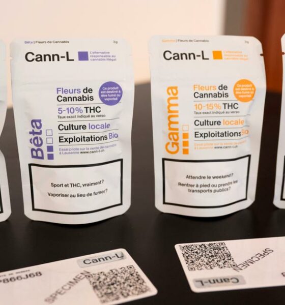 Experiência da legalização da canábis em Lausanne