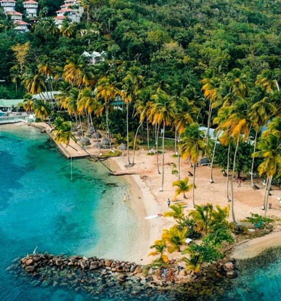 Reflexão sobre a legalização da canábis em Sint-Maarten