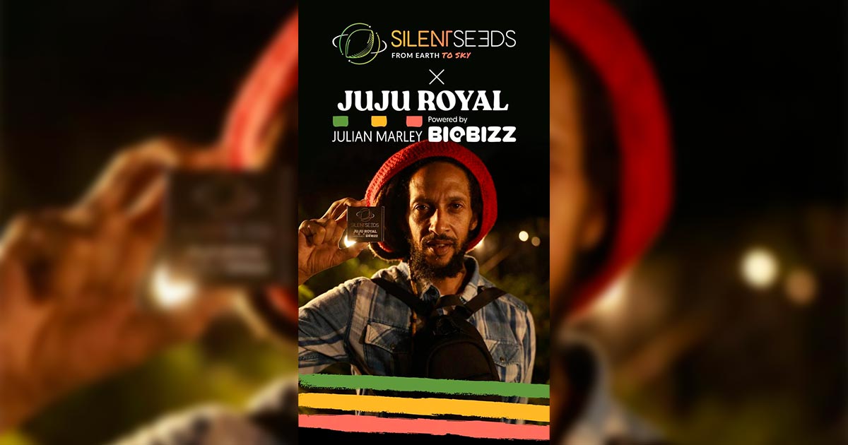 Variedades Silent Seeds e Julian Marley