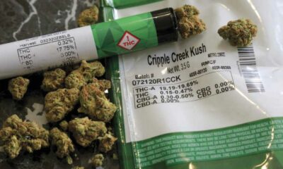 Cannabis medicinal para doentes terminais no Louisiana