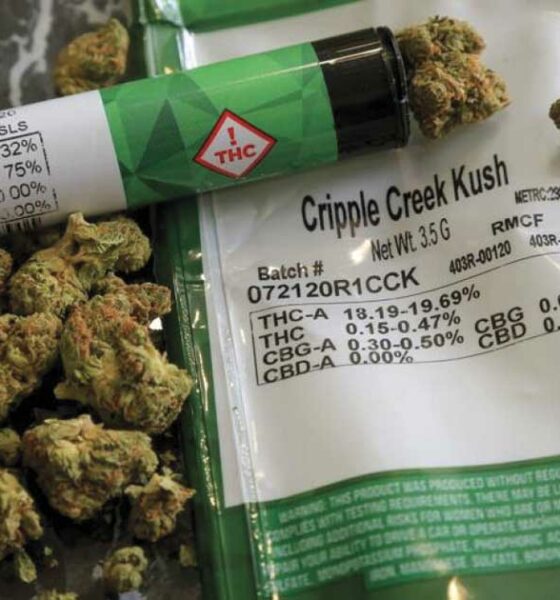 Cannabis medicinal para doentes terminais no Louisiana