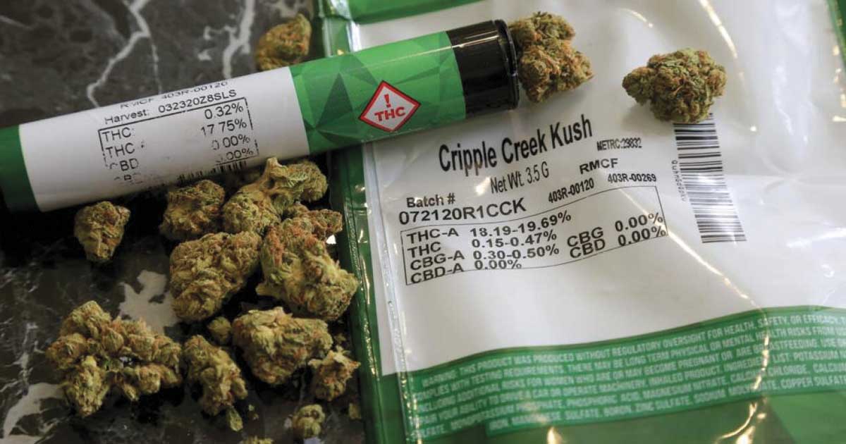 Cannabis medicinal para doentes terminais no Louisiana