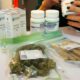 Forma fumada de canábis medicinal em Israel