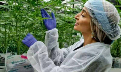 Turbo Cannabis em Israel