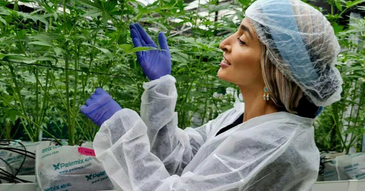 Turbo Cannabis em Israel