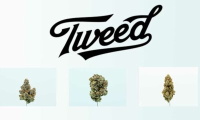 Tweed na Alemanha