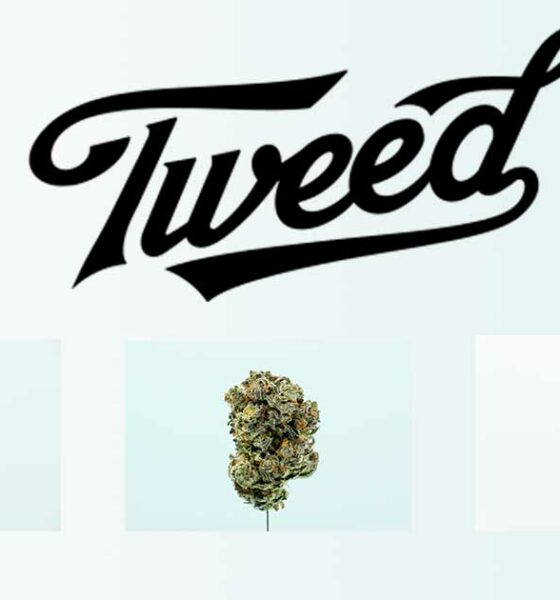 Tweed na Alemanha