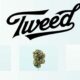Tweed na Alemanha