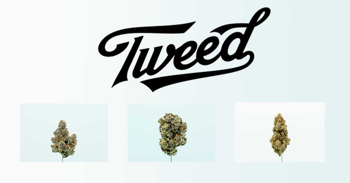 Tweed na Alemanha