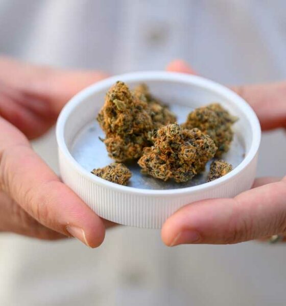 Importação de canábis medicinal para a Alemanha