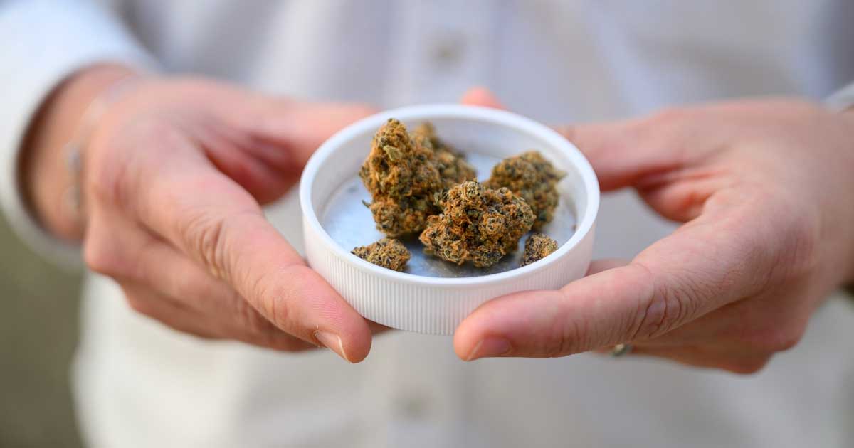 Importação de canábis medicinal para a Alemanha