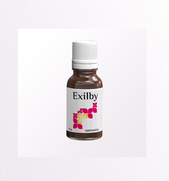 O VER-10 Exilby da Vertanical