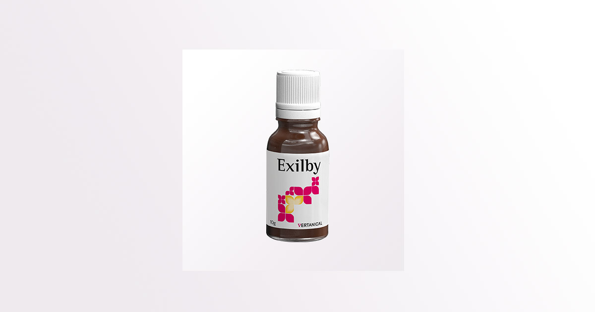 O VER-10 Exilby da Vertanical