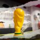 Copa do Mundo de 2026 e cannabis