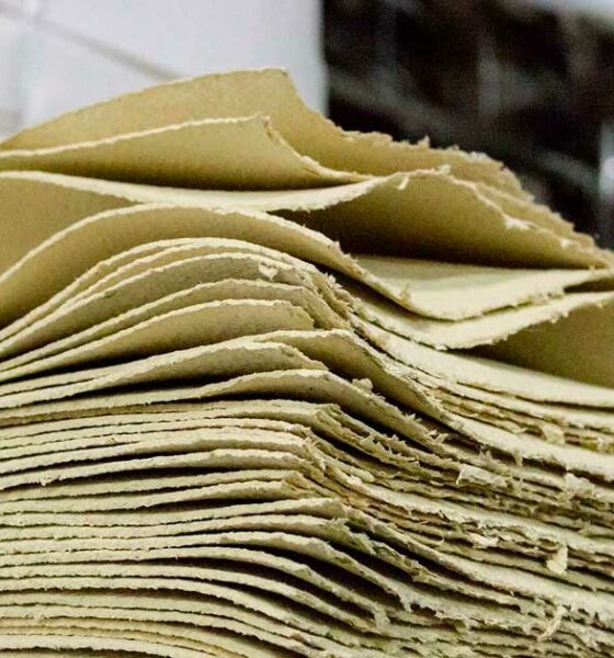 Fibras de cânhamo no papel reciclado