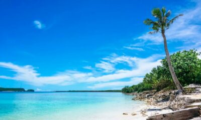 Primeira licença para cannabis medicinal em Guam