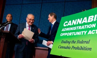 Projeto de legalização da cannabis nos Estados Unidos