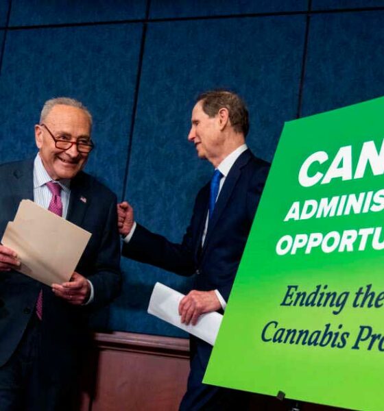Projeto de legalização da cannabis nos Estados Unidos