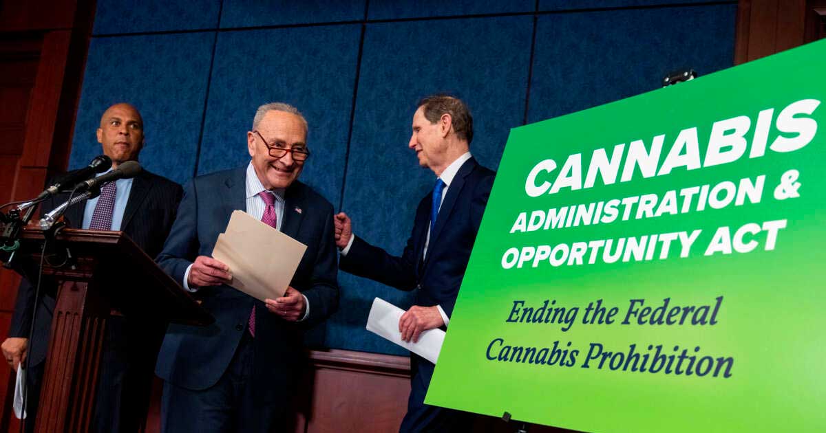 Projeto de legalização da cannabis nos Estados Unidos
