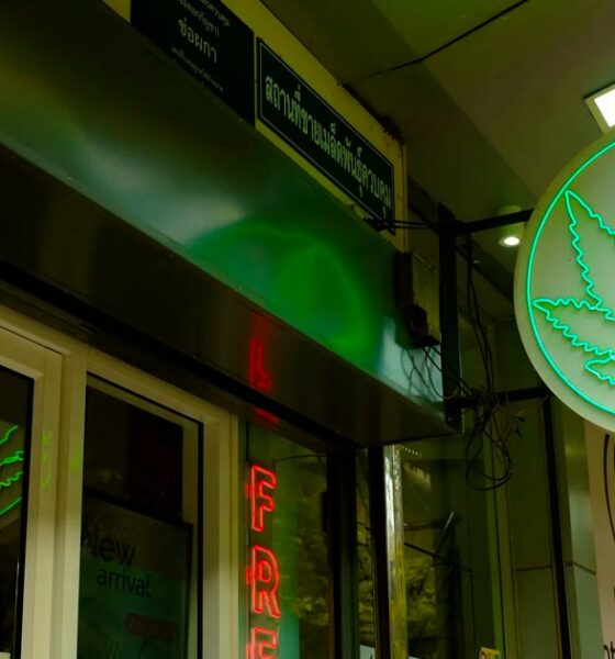 Novas regras mais rigorosas para as lojas de canábis na Tailândia