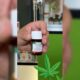 Prescrição de canábis medicinal na Ucrânia