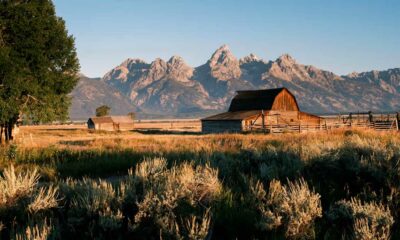 O Wyoming recusa a reclassificação da canábis