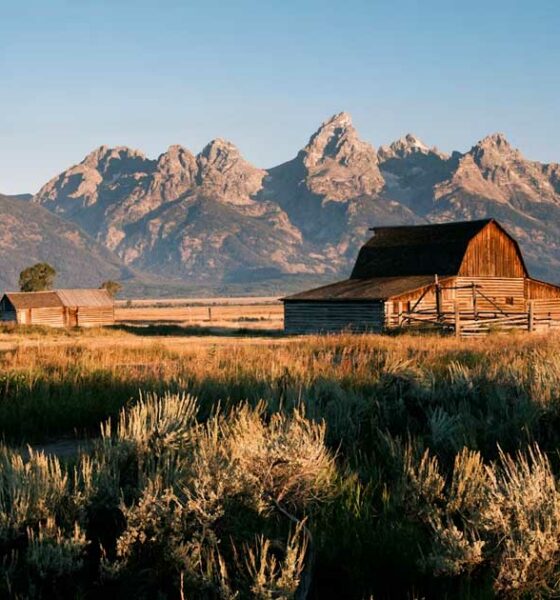 O Wyoming recusa a reclassificação da canábis