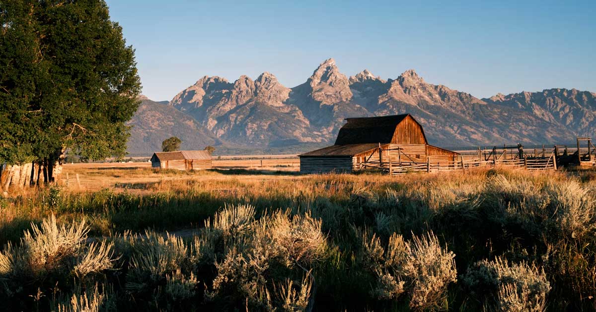 O Wyoming recusa a reclassificação da canábis