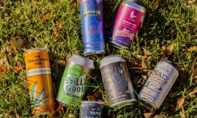 O Congresso dos EUA quer salvar as bebidas com THC