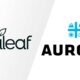 A Curaleaf anuncia uma oferta pública de aquisição da Aurora