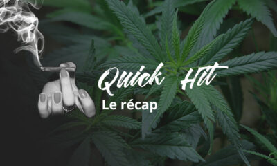 Quick Hit de agosto de 2020