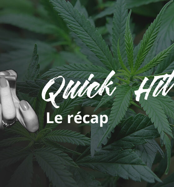 Quick Hit de agosto de 2020