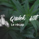 Quick Hit de agosto de 2020