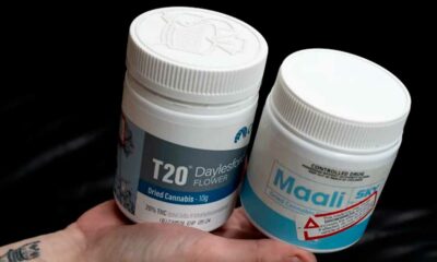 Aumento exponencial das prescrições de canábis medicinal na Austrália