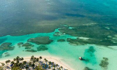 Fase piloto para a cannabis medicinal nas Bahamas