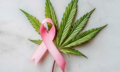 Cancro da mama e canábis