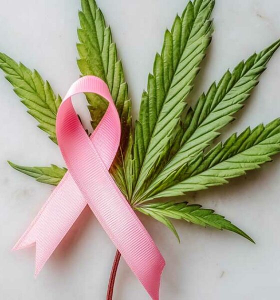 Cancro da mama e canábis