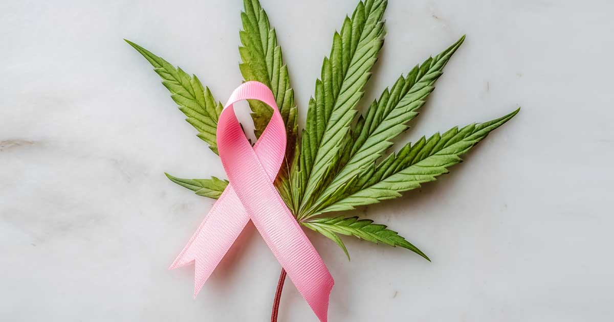 Cancro da mama e canábis