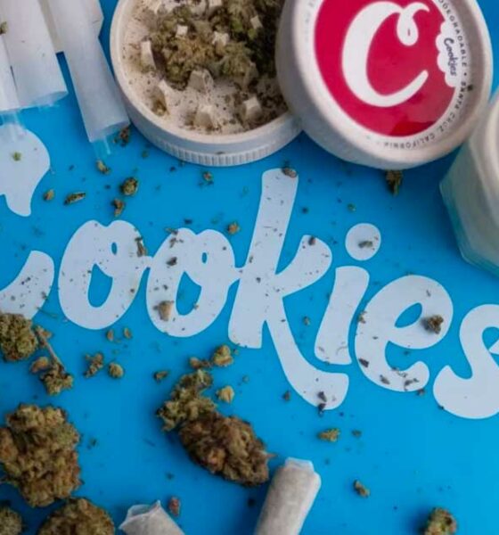 Cookies multados