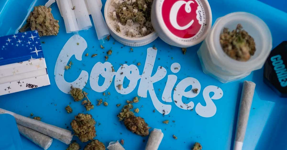 Cookies multados