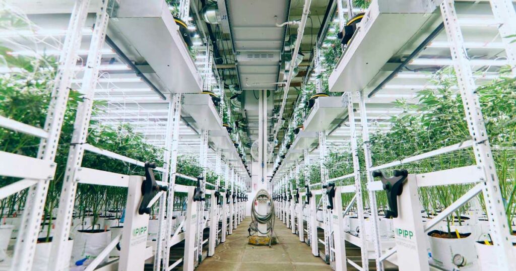 GMP, BPF, EU-GMP: qual é a diferença?