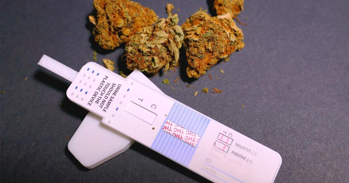 CBD e testes de rastreio