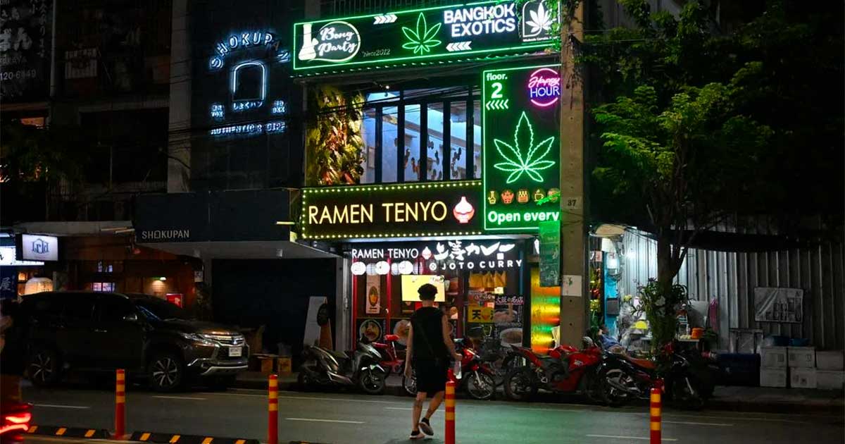 A Tailândia aposta na cannabis medicinal