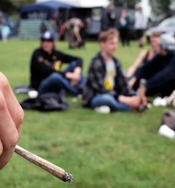 Consumo de cannabis por adolescentes nos Estados Unidos