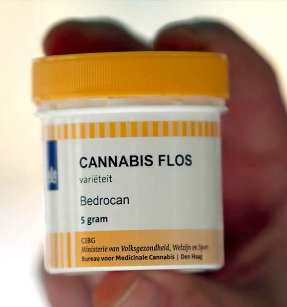Falência da Bedrocan