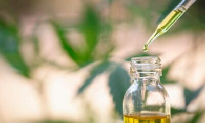 EFSA e o CBD sintético