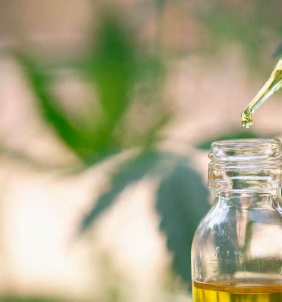 EFSA e o CBD sintético