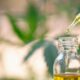 EFSA e o CBD sintético