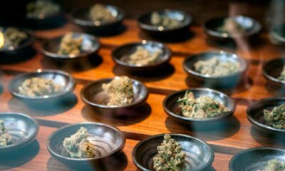 Empresas do setor da canábis medicinal nos EUA