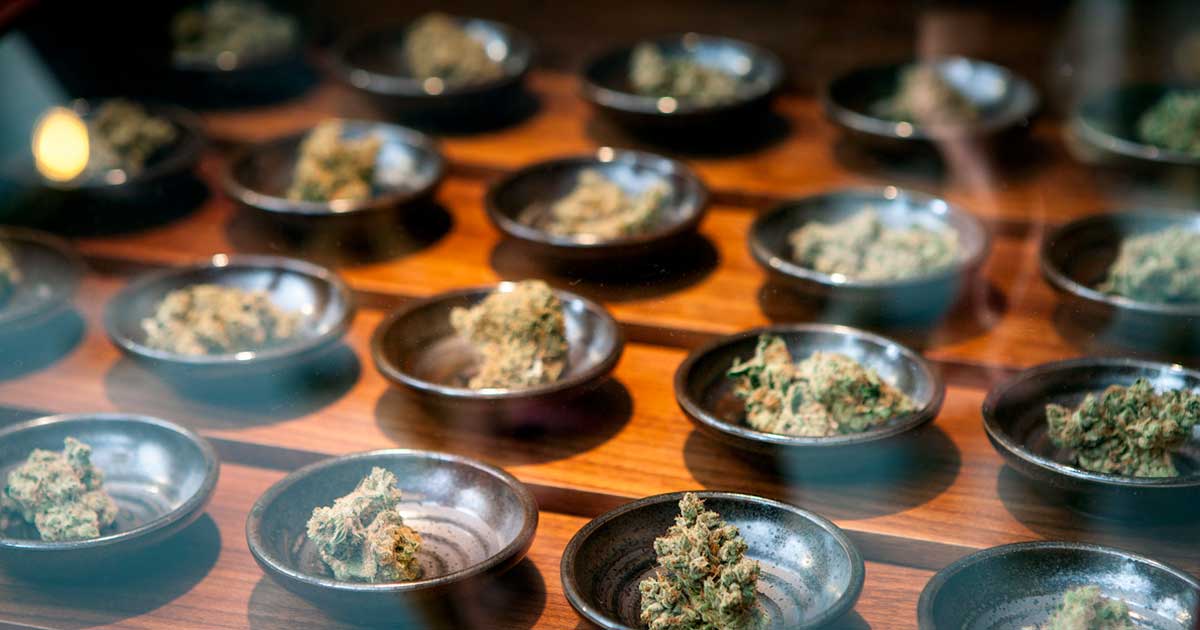 Empresas do setor da canábis medicinal nos EUA